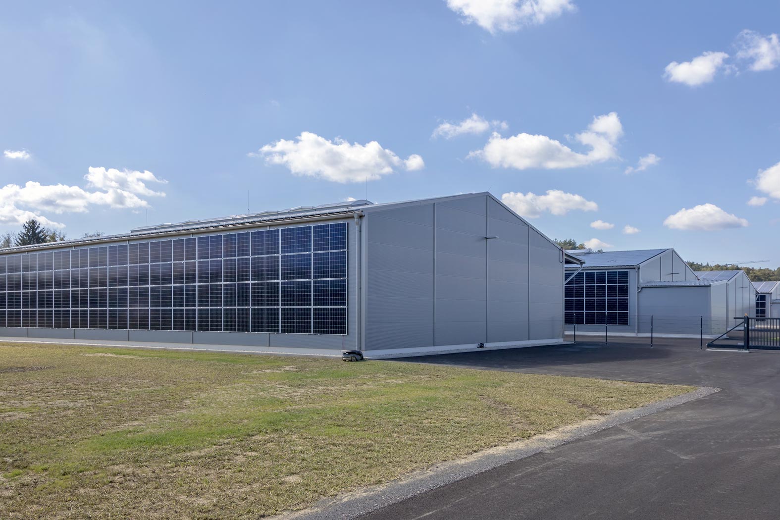 Pfingstl Stahlbau Metallbau Feldbach Steiermark Österreich Hallenbau Hallensanierung 3D-Planung Elektro Rammert Saaz